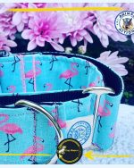 Flamenco Martingale